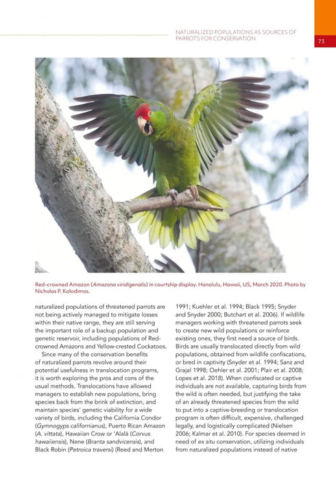 Parrots of the World - Pruett-Jones 2021